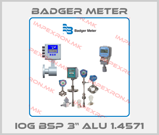 Badger Meter-IOG BSP 3“ Alu 1.4571price