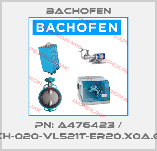 Bachofen-PN: A476423 / BEKH-020-VL521T-ER20.X0A.G00price