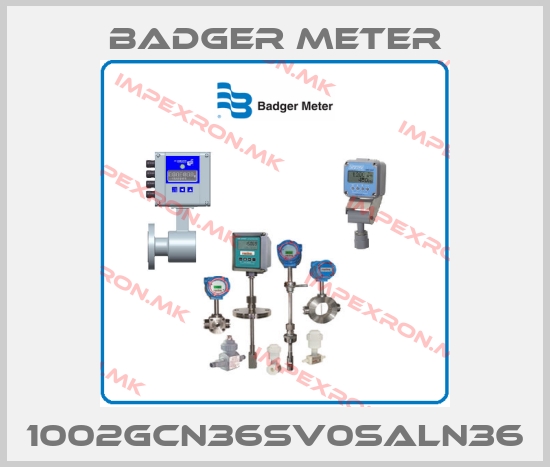 Badger Meter-1002GCN36SV0SALN36price