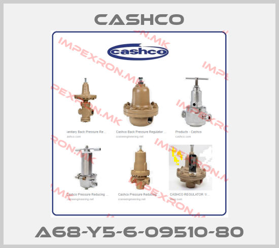 Cashco-A68-Y5-6-09510-80price