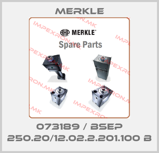 Merkle-073189 / BSEP 250.20/12.02.2.201.100 Bprice