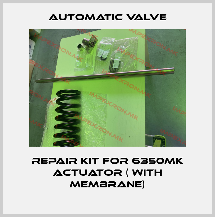 Automatic Valve-Repair kit for 6350MK actuator ( with membrane)price