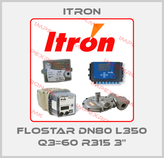 Itron-Flostar DN80 L350 Q3=60 R315 3"price