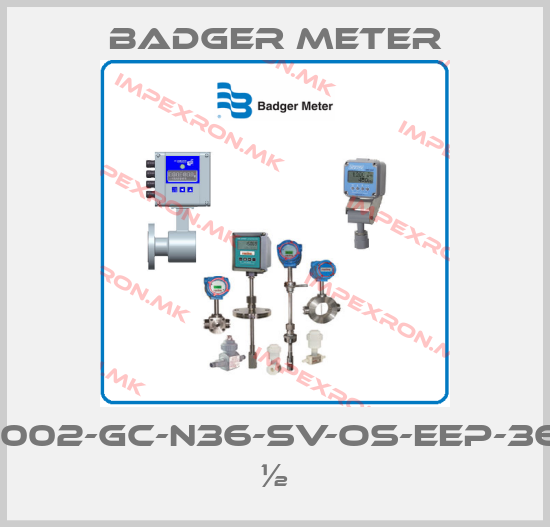 Badger Meter-1002-GC-N36-SV-OS-EEP-36 ½price