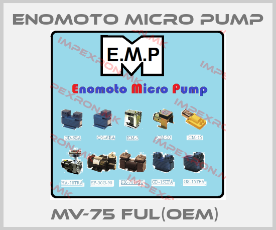 Enomoto Micro Pump Europe