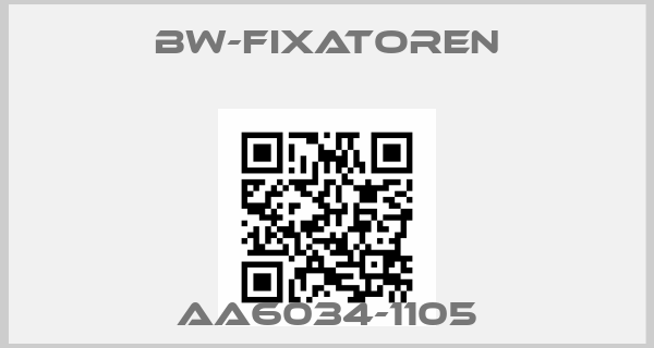 BW-Fixatoren Europe