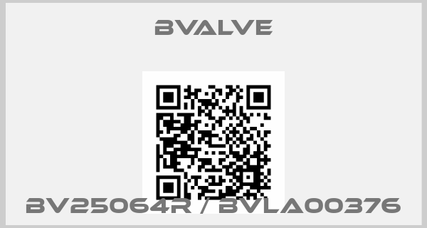 BVALVE Europe