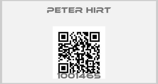 Peter Hirt Europe