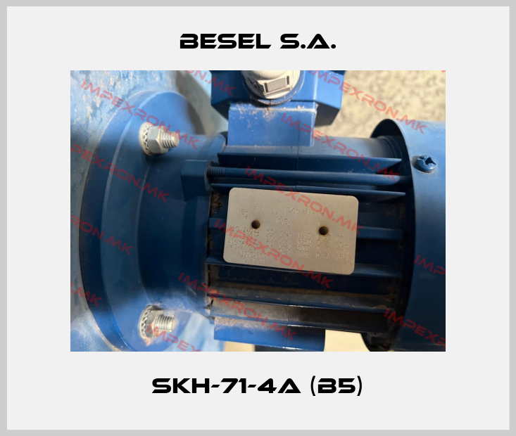 BESEL S.A.-SKh-71-4A (B5)price