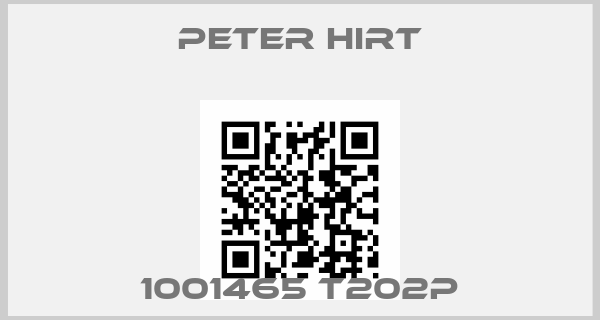 Peter Hirt Europe