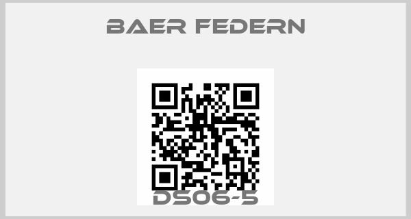 BAER FEDERN Europe