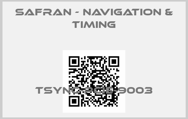 Safran - Navigation & Timing Europe