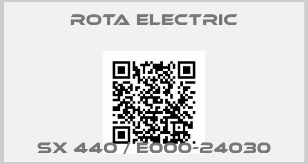 Rota Electric Europe