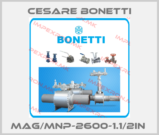 Cesare Bonetti-MAG/MNP-2600-1.1/2IN price