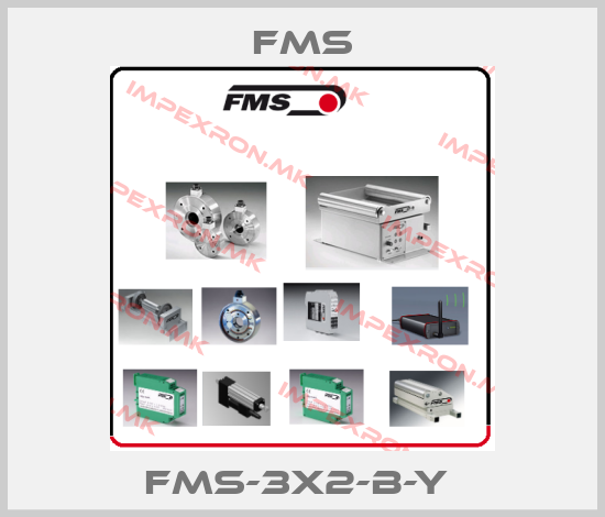 Fms Europe