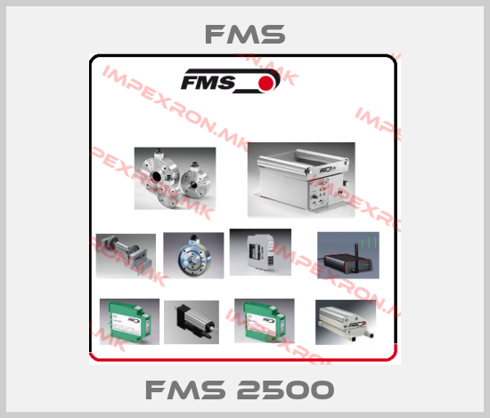 Fms Europe