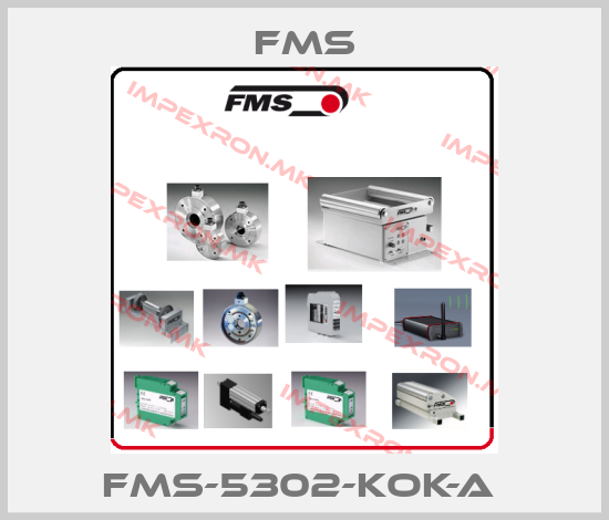 Fms Europe