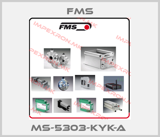 Fms Europe