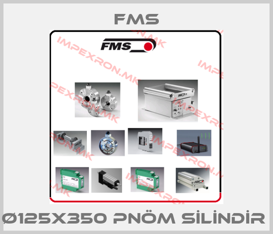 Fms Europe