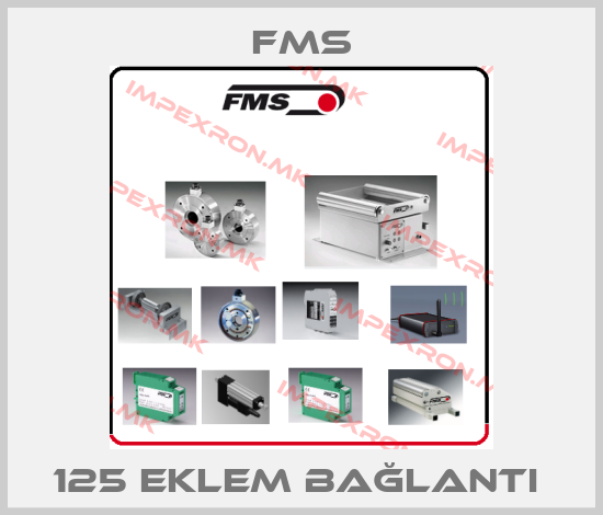 Fms Europe