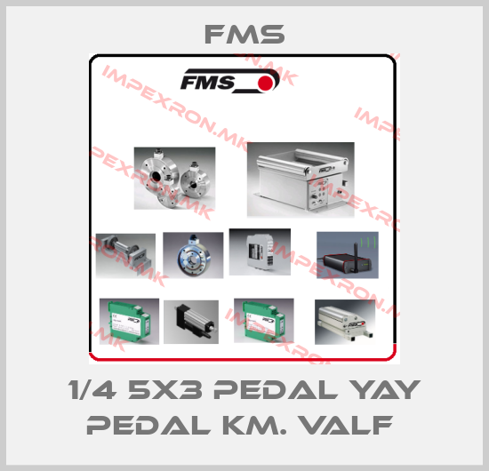 Fms Europe