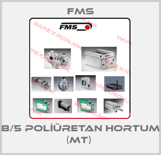 Fms Europe