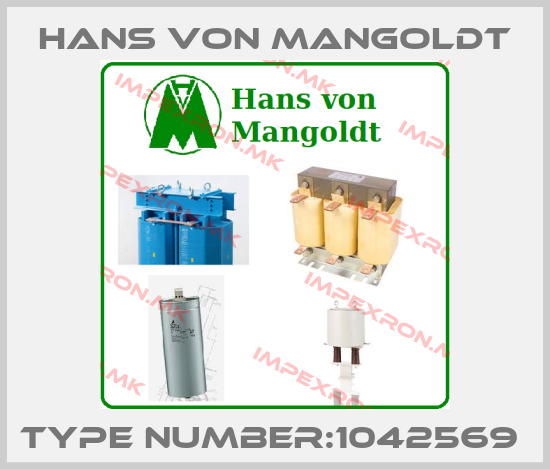 Hans von Mangoldt Europe