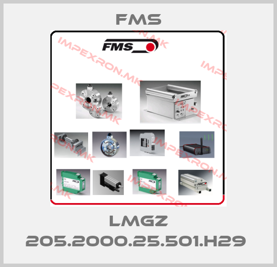 Fms Europe