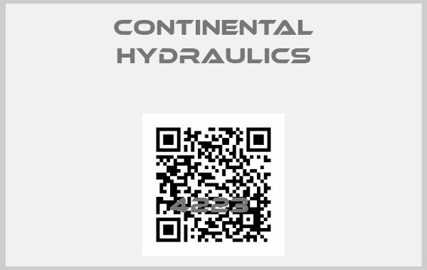 Continental Hydraulics Europe