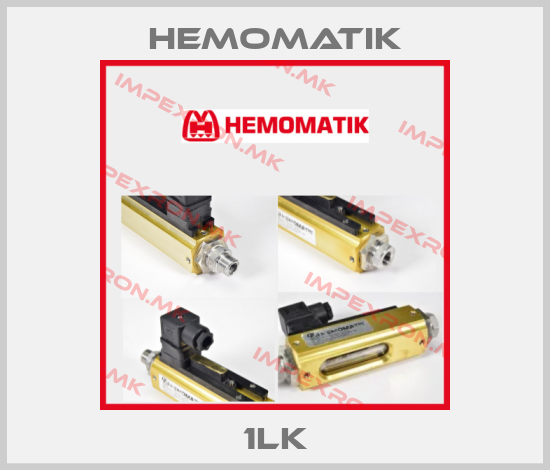 Hemomatik Europe