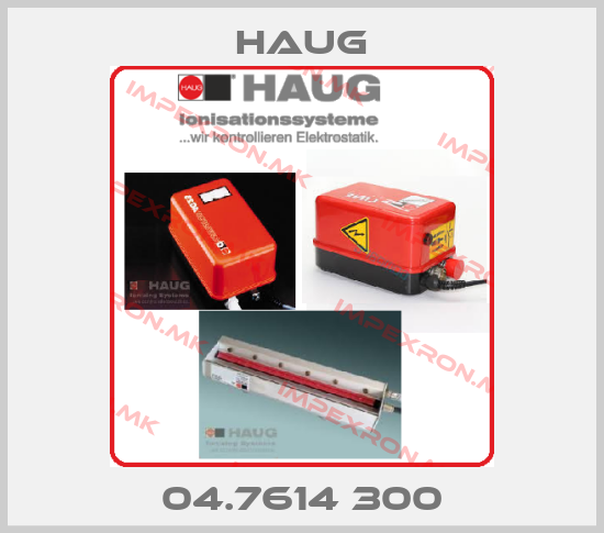 Haug Europe